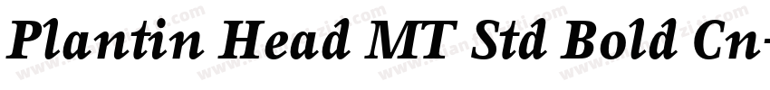 Plantin Head MT Std Bold Cn字体转换